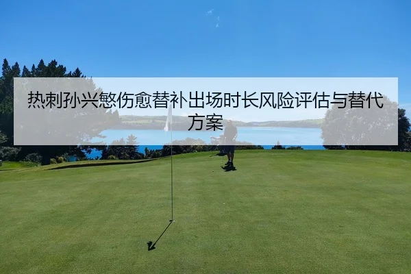 re-ci-sun-xing-min-shang-yu-ti-bu-chu-chang-shi-chang-feng-xian-ping-gu-yu-ti-dai-fang-an-2-661.jpg